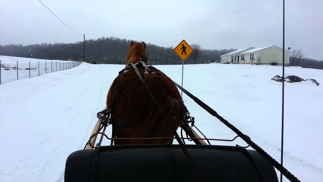 JR and the Portland cutter