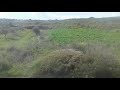 الطريق بين رام العنز وبلقسة غربي حمص الطريق بين رام العنز وبلقسة غربي حمص