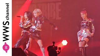Lifesta、圧巻のライブパフォーマンスを披露！＜ARTISTS LEAGUE Presents... MUSIC TRIBE＞