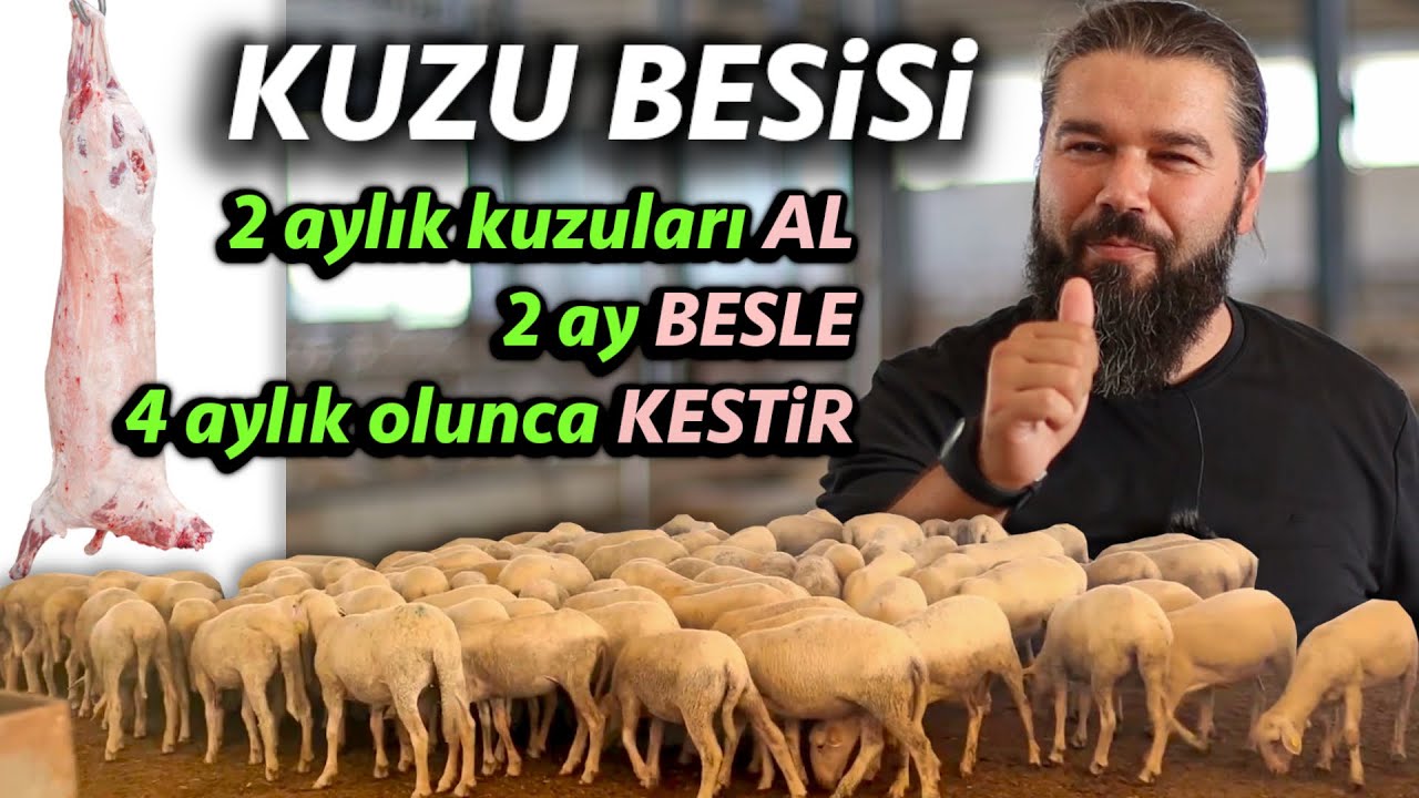 AL SAT KUZU BESİSİ YAPILIR MI?