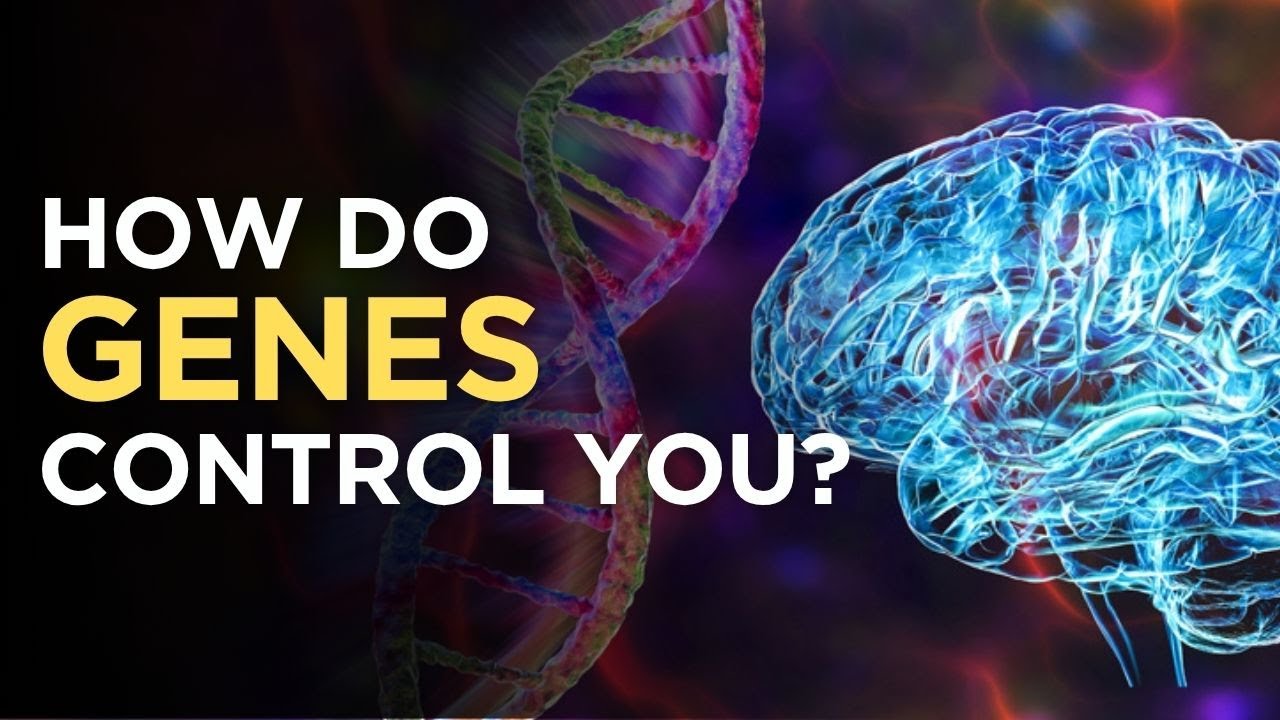 How Your Genes Secretly Control You | The Blueprint of Being Human ...