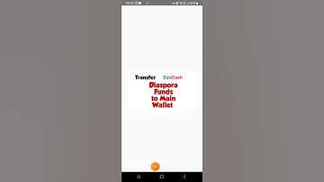 How to Transfer Ecocash Diaspora Funds to Main Wallet