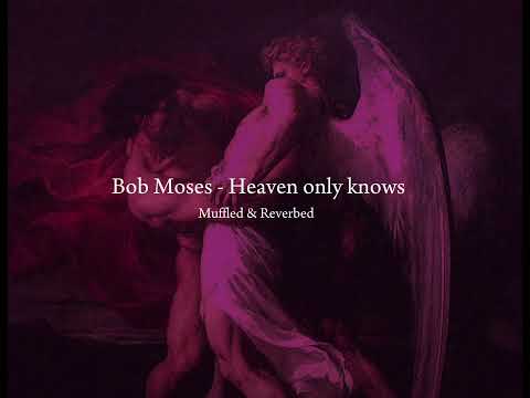 Bob Moses - Heaven only knows (muffled and reverbed)