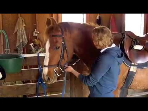 How to untack a horse