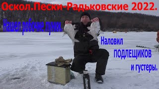 Оскол.Пески - Радьковские 2022.Нашел рабочие лунки, наловил подлещиков и густеры.