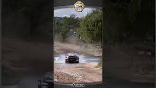 This is why rally is next level — anything can happen 🌲🐾 #rally #rallylife #closecall #motorsport