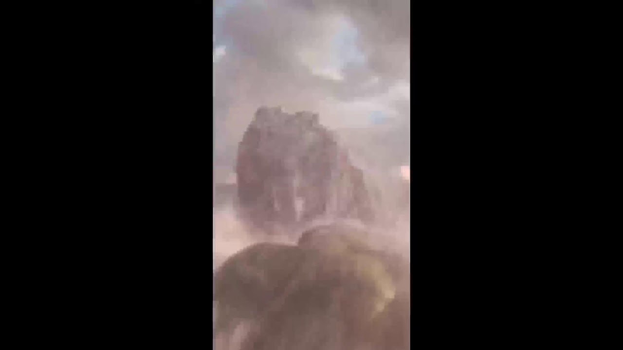 World Mythical Animal Evolution 😈 😱