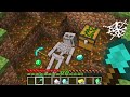 ЧТО Я РАСКОПАЛ ОКОЛО СВОЕГО ДОМА В МАЙНКРАФТ 100% Троллинг Ловушка Minecraft