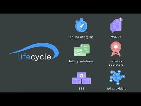 An Introduction to Lifecycle Software - video from Lifecycle Software
