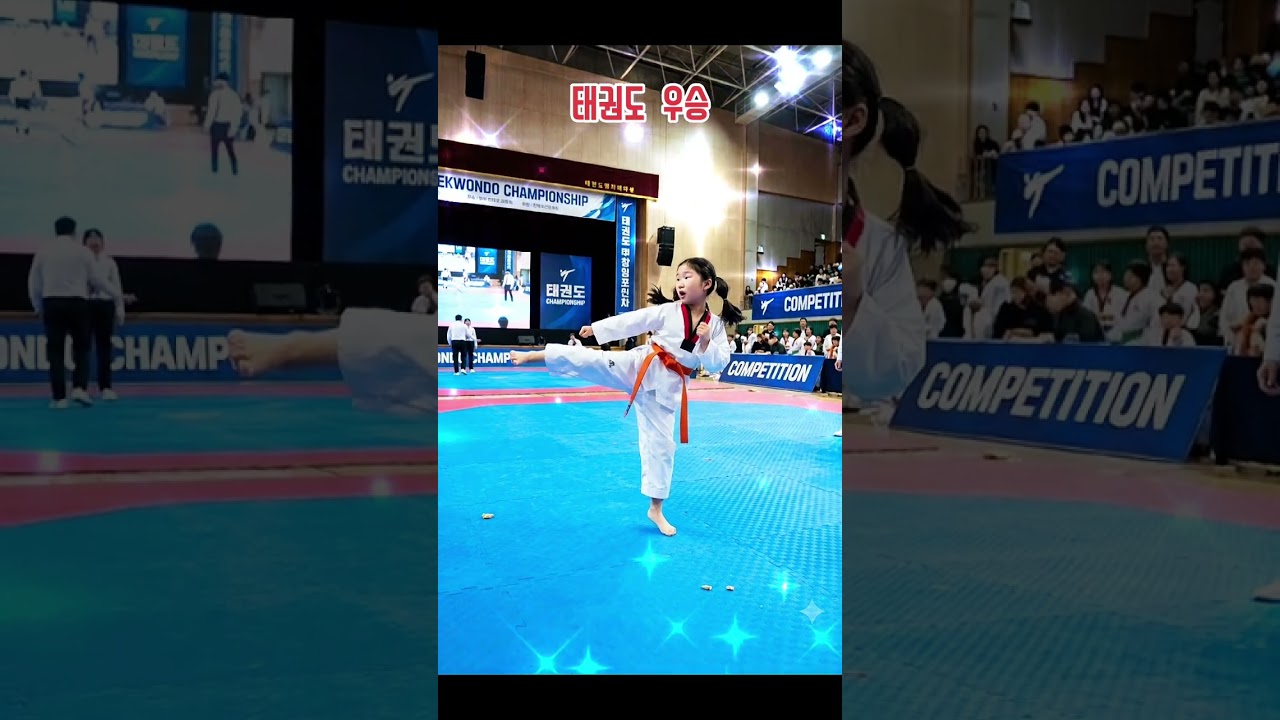 Taekwondo Championship