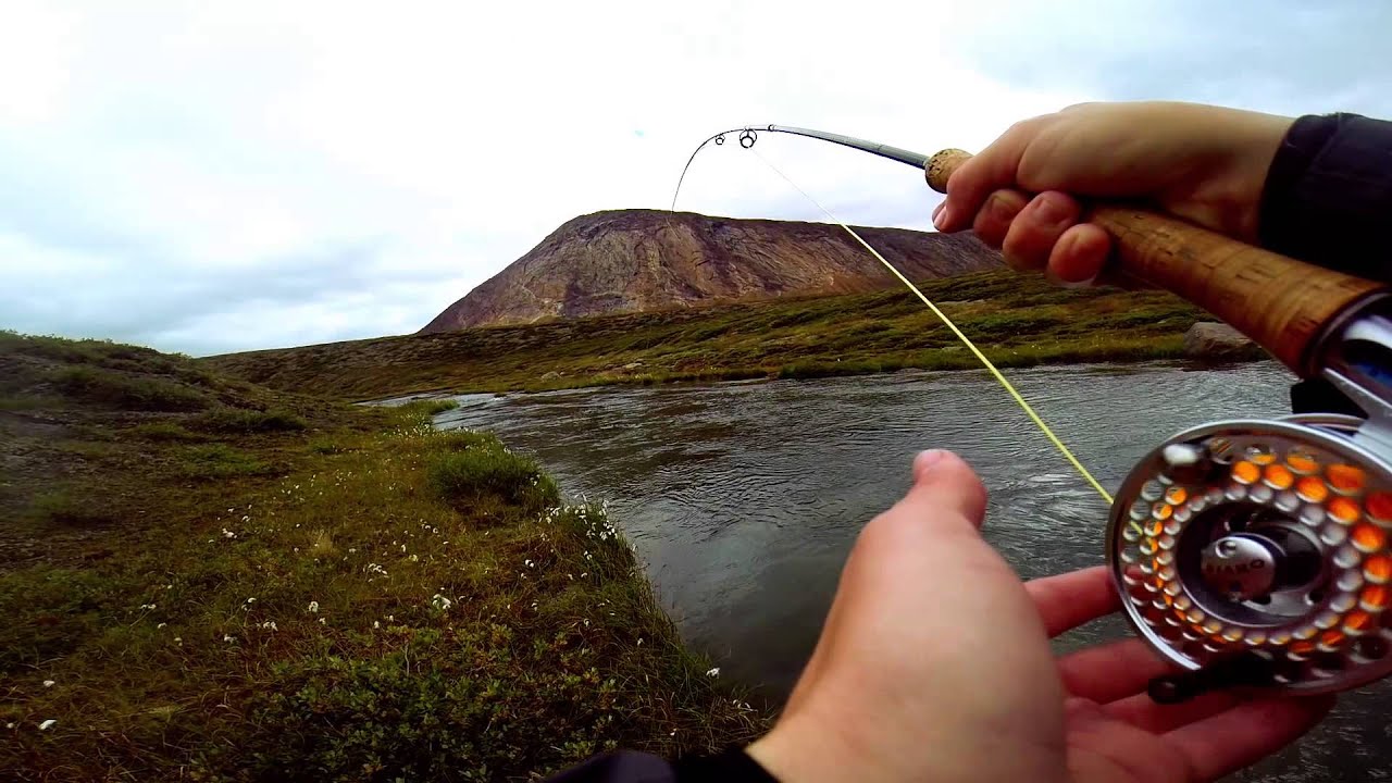 Greenland Fly Fishing for Arctic Char YouTube