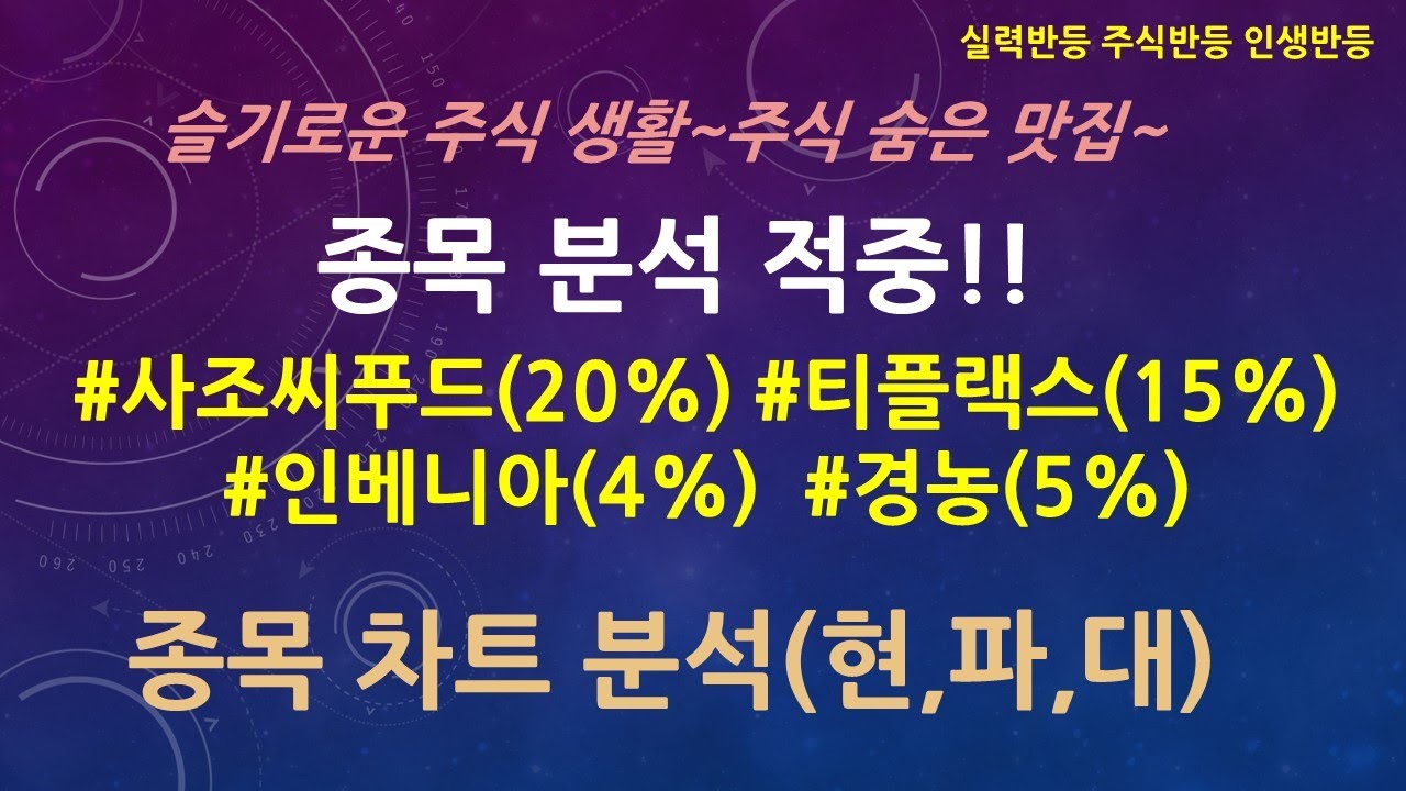 Update 사조씨푸드(20%) 티플랙스(15%) 인베니아(4%) 경농(5%) 분석적중 / 중장기 종목 분석