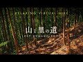 日高川 と 失われた熊野古道の里 │ Lost Pilgrimage Route & village - Kumano Kodo"Okuhechi" │ Relaxing virtual hike