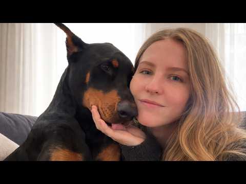 This 75lb Doberman Thinks He's a Lap Dog — And She Doesn't Mind