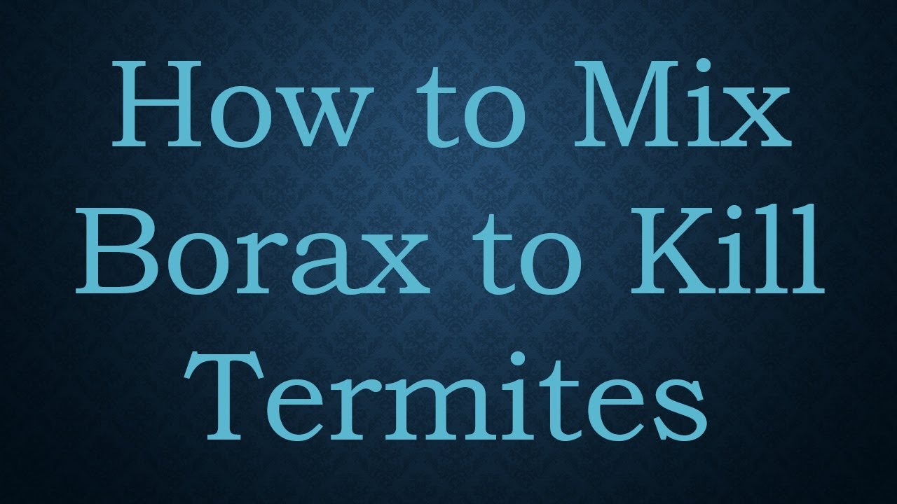 How to Mix Borax to Kill Termites YouTube