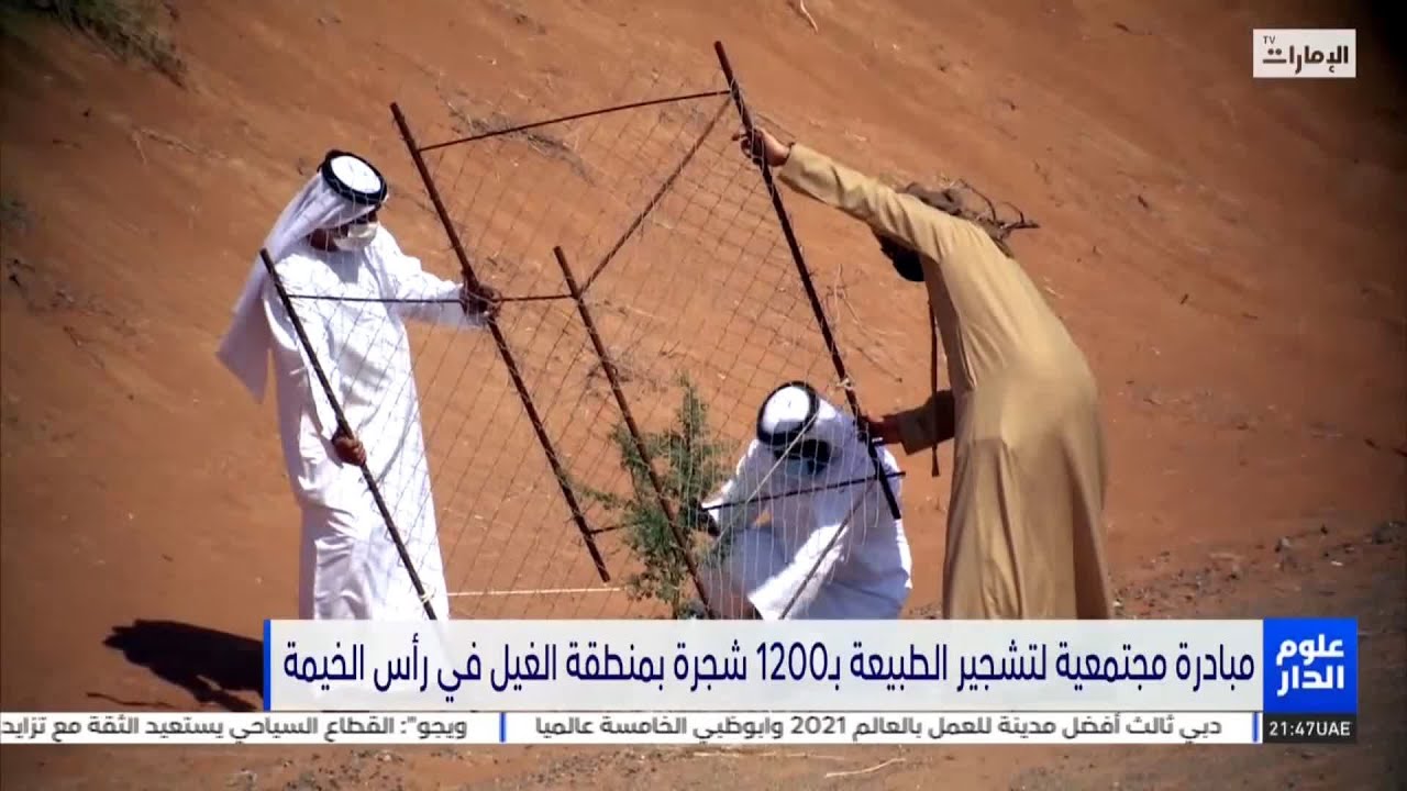 مبادرة مجتمعية لتشجير الطبيعة بـ1200 شجرة بمنطقة الغيل في رأس الخيمة