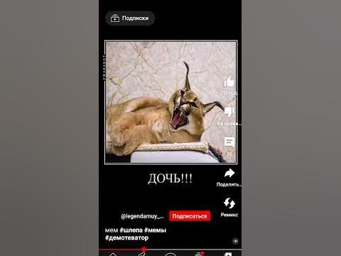Алараплплмл РЛХЛ ропот ропот - YouTube
