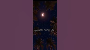 أكتب شيء تؤجر عليه-تلاوة هادئة 🤍🌿