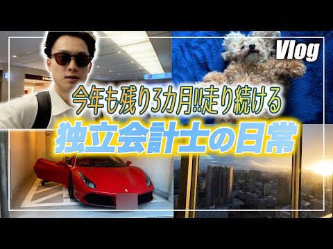 【会計士VLOG】仕事×勉強×トレーニング×遊びの独立会計士ルーティーン【公認会計士/小山あきひろ】