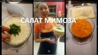 Салат мимоза от Дарики Салат мимоза от Дарики