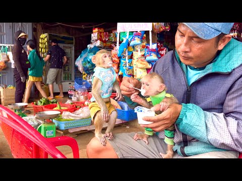 Monkey BiBi and