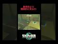 虐めやん #ゼルダの伝説 #ティアーズオブザキングダム #ゲーム実況 #youtube #shorts #short
