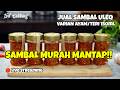 SAMBAL TERI MURAH MANTAP!!