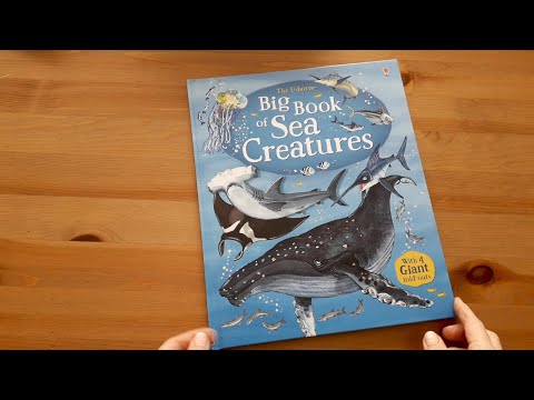 Big Book of Sea Creatures - Usborne Big Book of Sea Creatures - Usborne