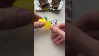 What Is In Chocolate Surprise Egg?
