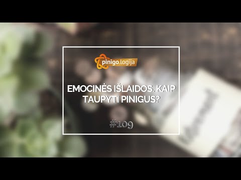 Video: Kaip Organizuoti Pramogų Išlaidas