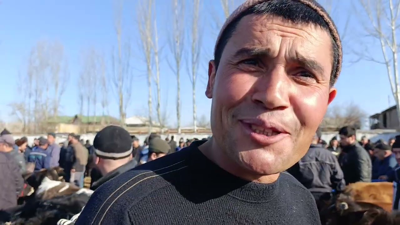 Narxlar 🔥BOBMBA🔥KOSONSOY TERGACHI MOL BOZORI.2026.02.20