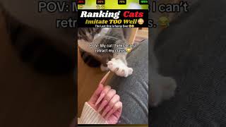 These Cats Imitate Too Well  rankingart  catshorts funny copycat