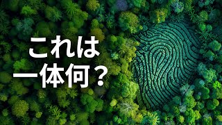 この森がAIが生成したかのように見える理由