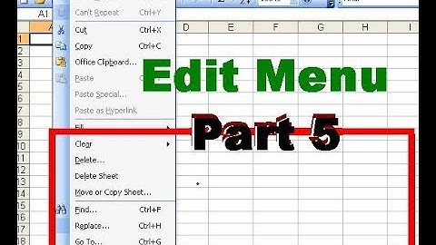8 - How to Use The Edit Menu In Ms Excel 2003 - in Urdu/Hindi - Part 5- Lunar Computer College