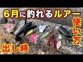 【バス釣り】６月のおすすめルアー・ハードプラグを紹介！アフターバス〜回復・梅雨の使い所や使い方を解説してみた【トップウォーター】【羽モノ】【2022年最新版】