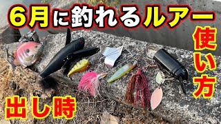 【バス釣り】６月のおすすめルアー・ハードプラグを紹介！アフターバス〜回復・梅雨の使い所や使い方を解説してみた【トップウォーター】【羽モノ】【2022年最新版】