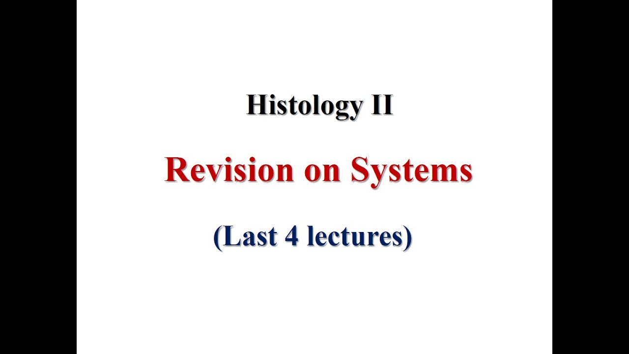 Revision on Systems Histology II