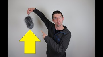 How to Clean a DeadCat Wind Screen