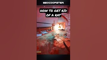 Camping 🐀 playing SHIPMENT should always die like this #callofduty