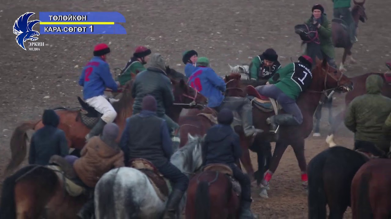 #көкбөрү2020 ТОЛОЙКОН КАРА СОГОТ 1