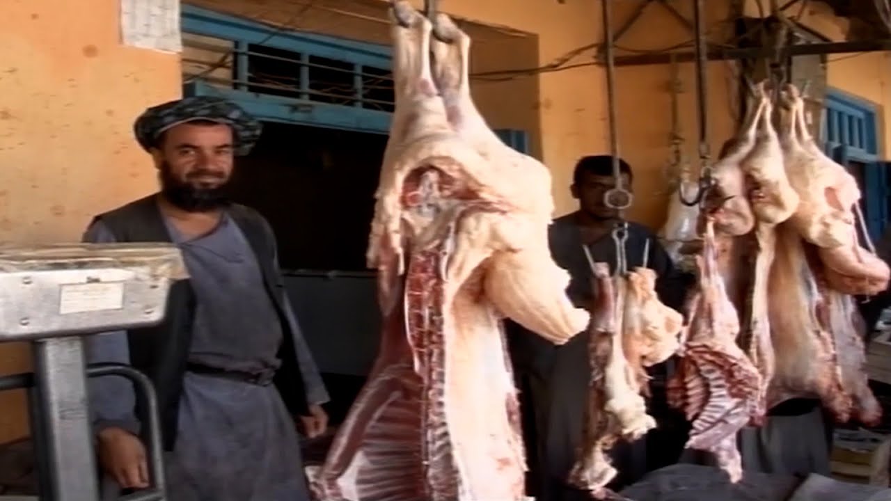 میهن من  |  ولایت فاریاب ولسوالی اندخوی