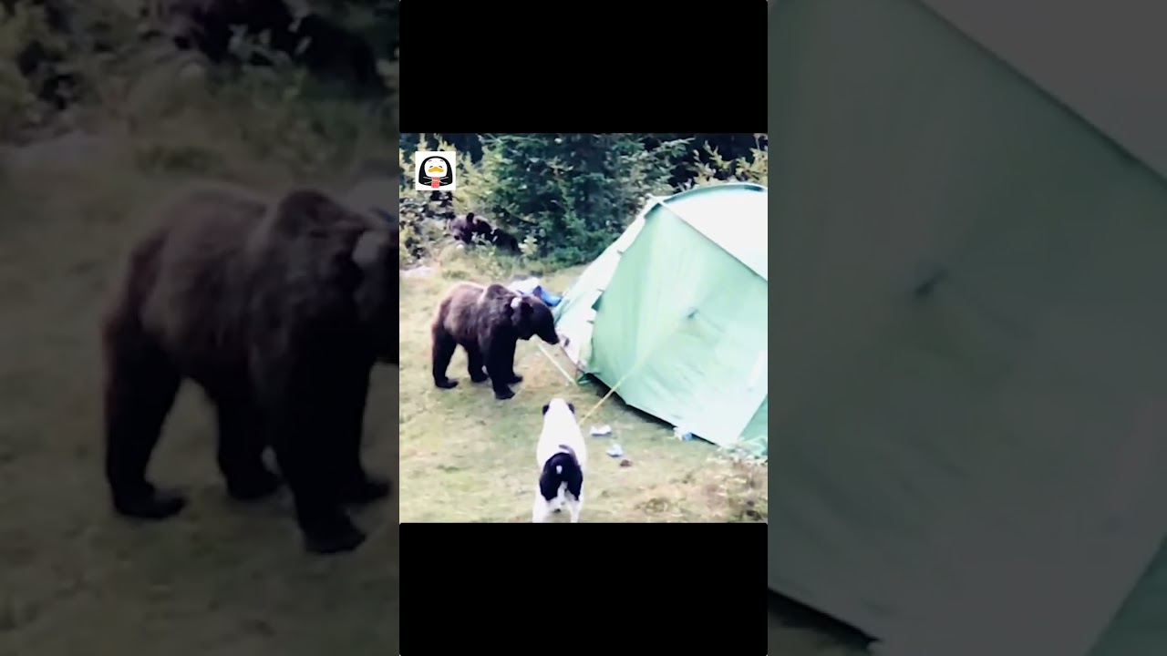 😂 😂 😂 😂😂 😂 😂 