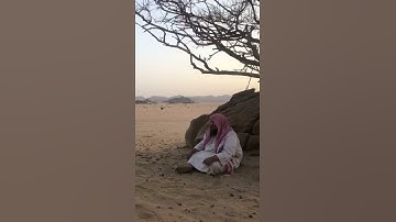 دحيم الحماد 1444 ه تلاوة من سورة نوح