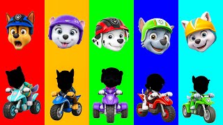 Wrong Eyes Paw Patrol Family Friendly Full Episodes Chase -Dame Tu Cosita Funny Wrong Heads