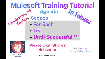 Part 1-Session 13.2|Mulesoft Telugu Tutorial|#mulesoft|#telugu|Mule Scopes|Foreach|Try|Until Success