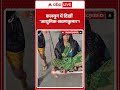 Latest News: कलयुग में दिखीं 'आधुनिक श्रवणकुमार'! |ABPLIVE