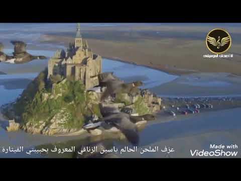 أغنية أفا فافا ينوفا عزف الملحن الحالم ياسين الزناقي المعروف بحبيبتي القيثارة للفنان إيدير 