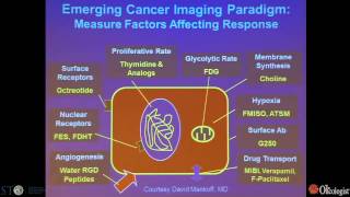 Imaging Approaches in Oncology: Update on PET/CT