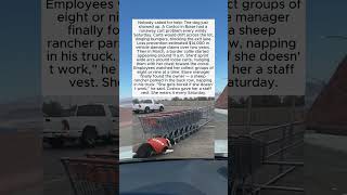 Dog herds shopping carts in supermarket parking lot like livestock