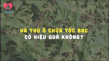 [BẠN HỎI BÁC SỸ TRẢ LỜI] - Hà thủ ô chữa tóc bạc có hiệu quả không?